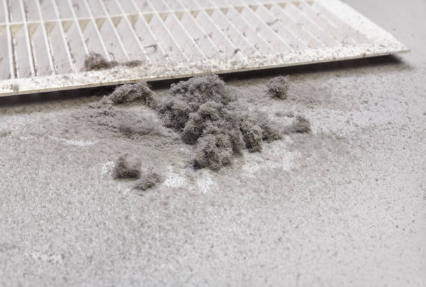 Best Air Duct Cleaning Near Me in Ellijay, GA