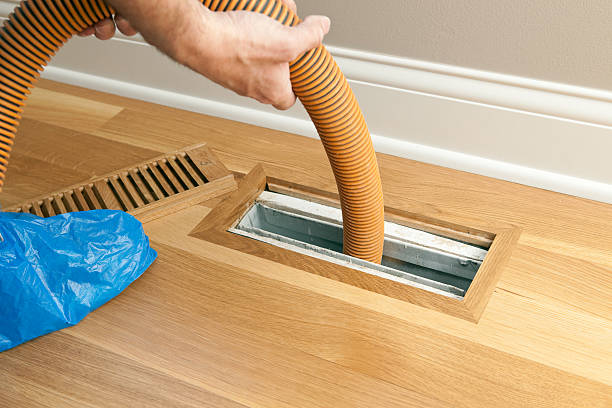 Best HVAC Duct Inspection Services  in Ellijay, GA