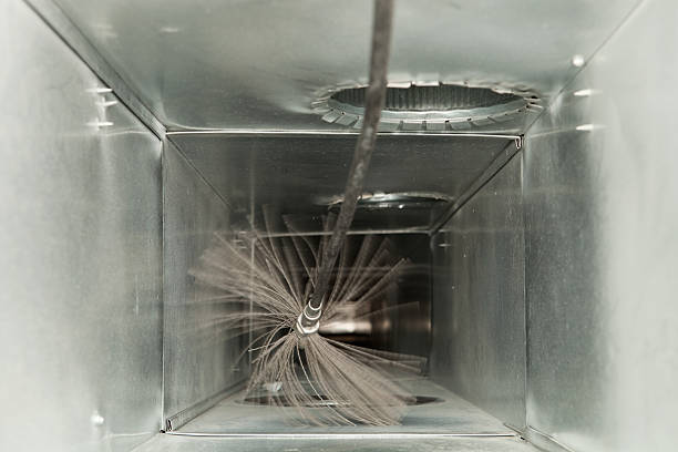 Best Air Duct Mold Removal  in Ellijay, GA