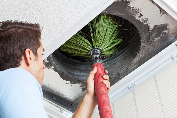 Air Duct Mold Removal in Ellijay, GA