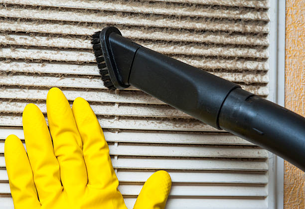 Best Best Air Duct Cleaning Near Me  in Ellijay, GA